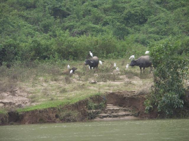 Urlaub in Vietnam 2007